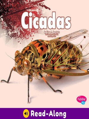 Cicadas - ebook